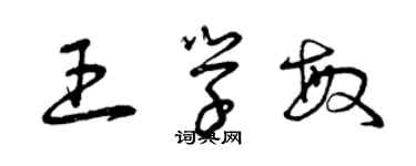 曾庆福王学敏草书个性签名怎么写