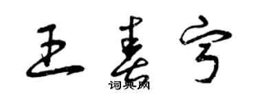 曾庆福王春宁草书个性签名怎么写
