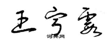 曾庆福王宁霞草书个性签名怎么写