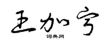 曾庆福王加宁草书个性签名怎么写