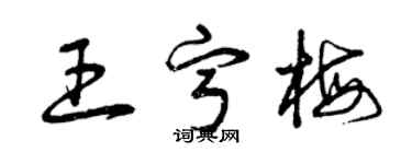 曾庆福王宁梅草书个性签名怎么写