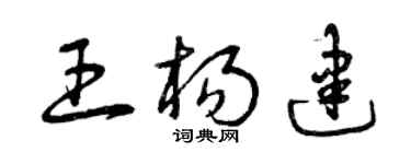 曾庆福王杨建草书个性签名怎么写