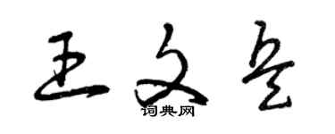 曾庆福王文兵草书个性签名怎么写