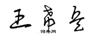 曾庆福王希兵草书个性签名怎么写