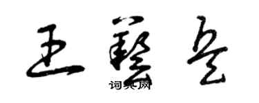 曾庆福王艺兵草书个性签名怎么写