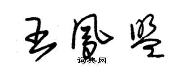 朱锡荣王凤盟草书个性签名怎么写