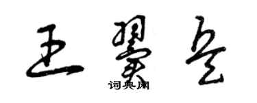 曾庆福王翼兵草书个性签名怎么写