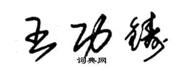 朱锡荣王功铸草书个性签名怎么写