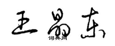 曾庆福王晶东草书个性签名怎么写