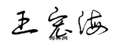 曾庆福王宏海草书个性签名怎么写