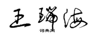 曾庆福王瑞海草书个性签名怎么写