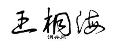 曾庆福王桐海草书个性签名怎么写