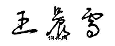 曾庆福王晨雪草书个性签名怎么写
