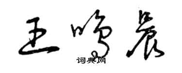 曾庆福王鸣晨草书个性签名怎么写