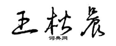 曾庆福王楷晨草书个性签名怎么写