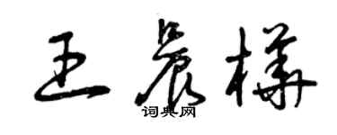 曾庆福王晨桦草书个性签名怎么写