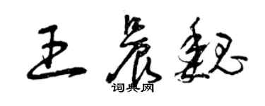 曾庆福王晨魏草书个性签名怎么写