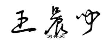 曾庆福王晨闻草书个性签名怎么写