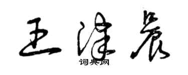 曾庆福王津晨草书个性签名怎么写