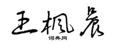 曾庆福王枫晨草书个性签名怎么写
