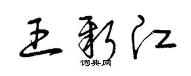 曾庆福王新江草书个性签名怎么写