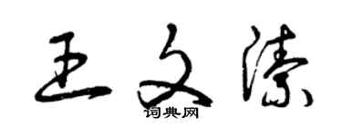 曾庆福王文洁草书个性签名怎么写