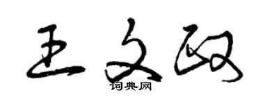 曾庆福王文政草书个性签名怎么写