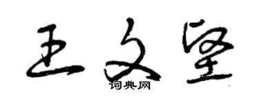 曾庆福王文坚草书个性签名怎么写