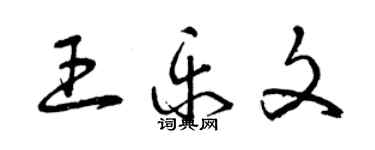 曾庆福王乐文草书个性签名怎么写