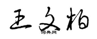 曾庆福王文柏草书个性签名怎么写