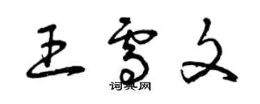 曾庆福王雪文草书个性签名怎么写