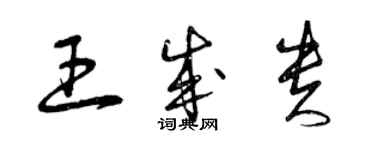 曾庆福王成贵草书个性签名怎么写