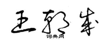 曾庆福王朝成草书个性签名怎么写