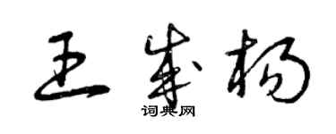 曾庆福王成杨草书个性签名怎么写