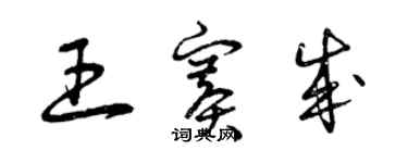 曾庆福王赛成草书个性签名怎么写