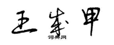 曾庆福王成甲草书个性签名怎么写