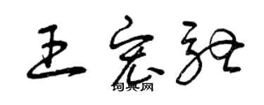 曾庆福王宏驰草书个性签名怎么写