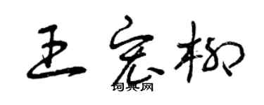 曾庆福王宏柳草书个性签名怎么写