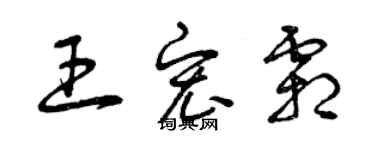 曾庆福王宏霜草书个性签名怎么写