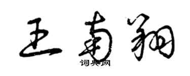 曾庆福王南翔草书个性签名怎么写