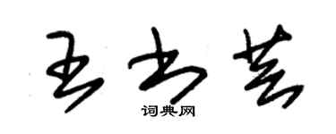 朱锡荣王书芸草书个性签名怎么写