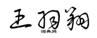 曾庆福王羽翔草书个性签名怎么写