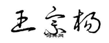 曾庆福王宗杨草书个性签名怎么写