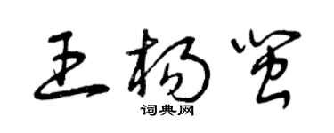 曾庆福王杨闽草书个性签名怎么写