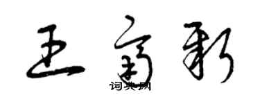 曾庆福王齐新草书个性签名怎么写