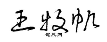 曾庆福王牧帆草书个性签名怎么写