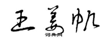 曾庆福王姜帆草书个性签名怎么写