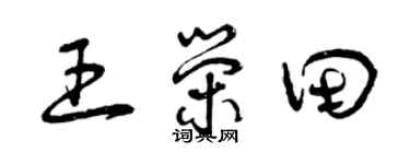 曾庆福王荣田草书个性签名怎么写