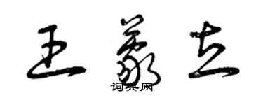 曾庆福王蒙立草书个性签名怎么写
