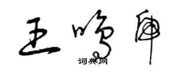 曾庆福王鸣虎草书个性签名怎么写